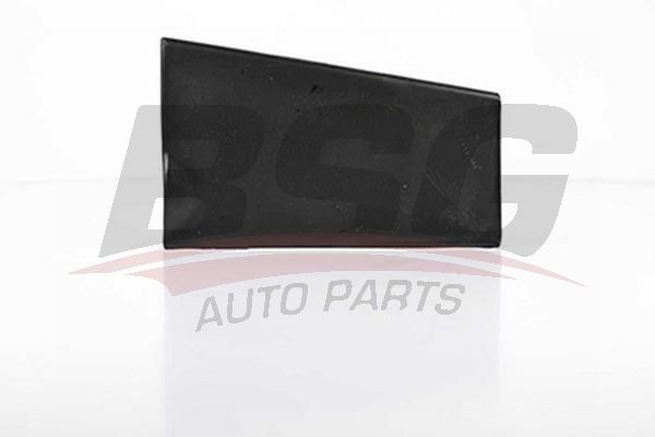 BSG 30971011 Yakıt Depo Kapağı Dış