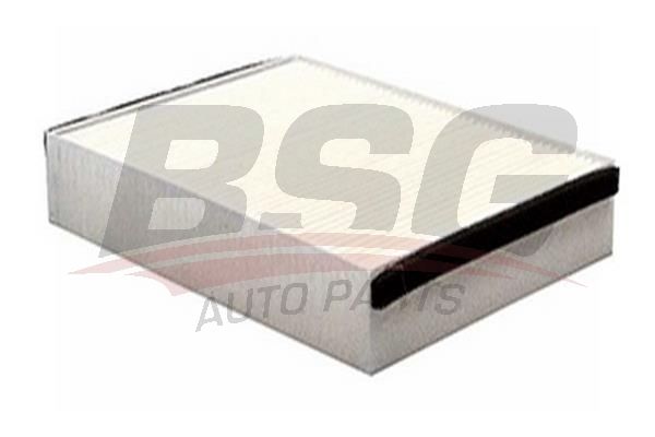 BSG 30145017 Polen Filtresi