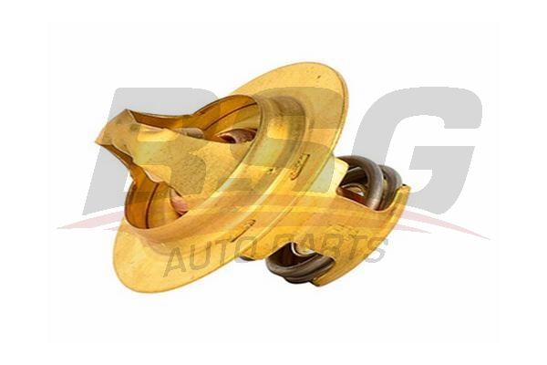 BSG 65125001 Termostat