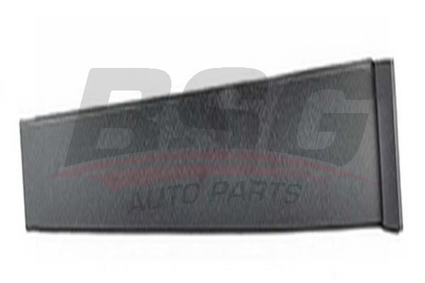 BSG 30925004 Kapı Direk Çıtası Arka Sol