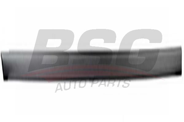 BSG 30924019 Kapı Bandı Takım