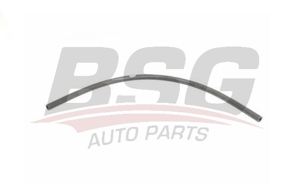 BSG 15720070 Motor Havalandırma Hortumu