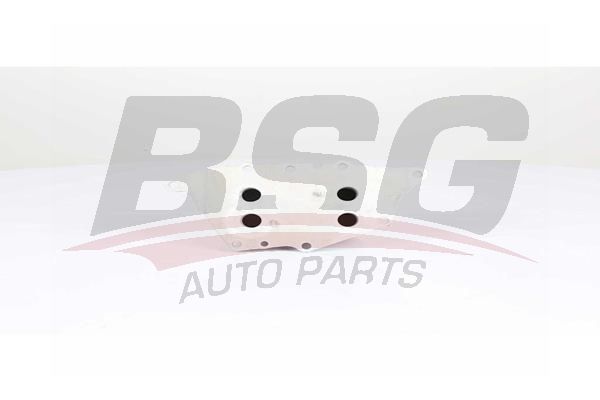 BSG 15506017 Yağ Radyatörü - . Görsel