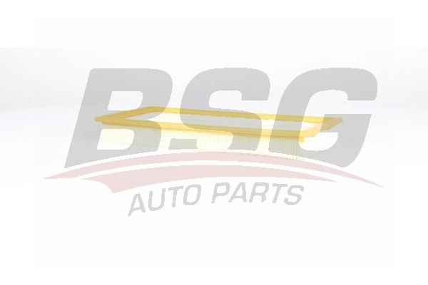 BSG 70135017 Hava Filtresi