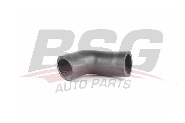 BSG 90720069 Turbo Hortumu - 1. Görsel