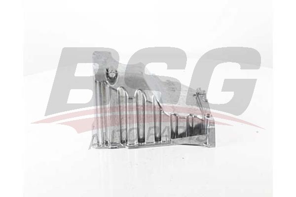 BSG 90160021 Yağ Karteri