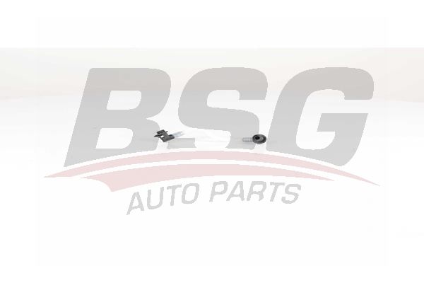 BSG 60725009 Yakıt Hortumu