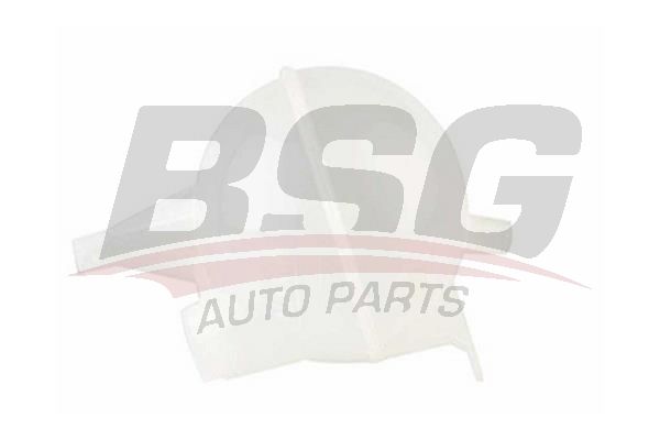 BSG 30550019 Radyatör Yedek Su Deposu - . Görsel