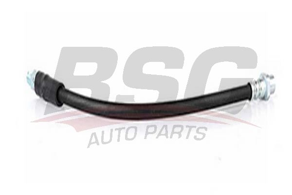 BSG 15730014 Fren Hortumu Ön - . Görsel