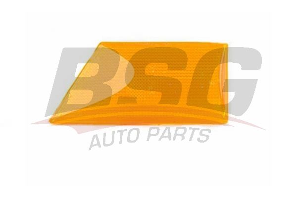 BSG 65810010 Çamurluk Sinyali Sağ