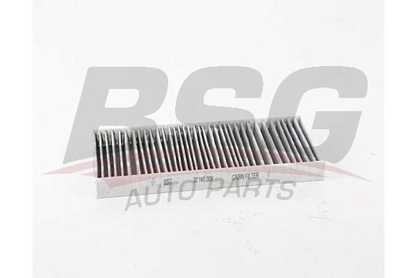 BSG 30145009 Polen Filtresi
