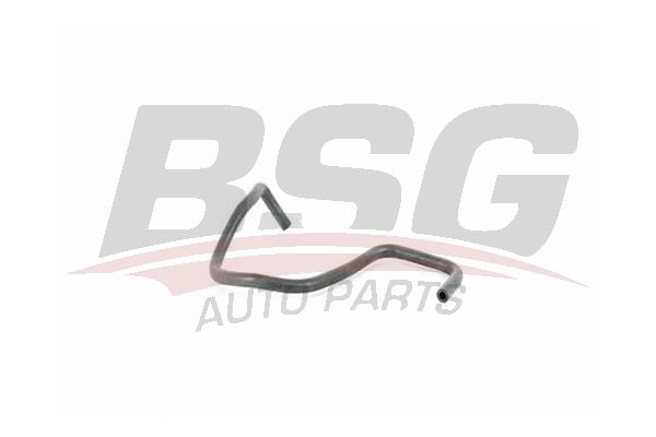 BSG 30720264 Blok Su Manifold Hortumu