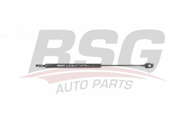BSG 15980010 Motor Kaput Amortisörü