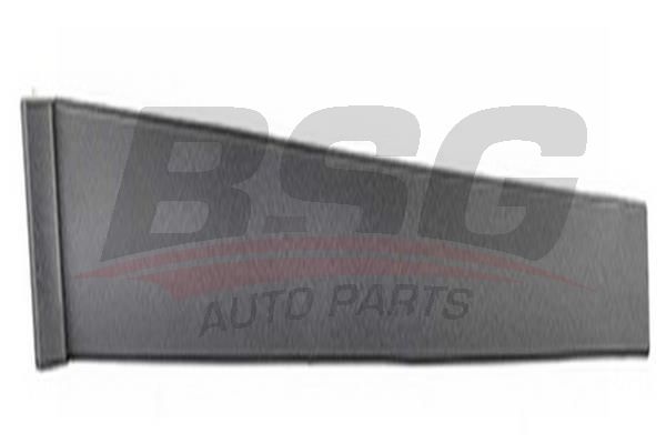 BSG 30925008 Kapı Direk Çıtası Arka Sol
