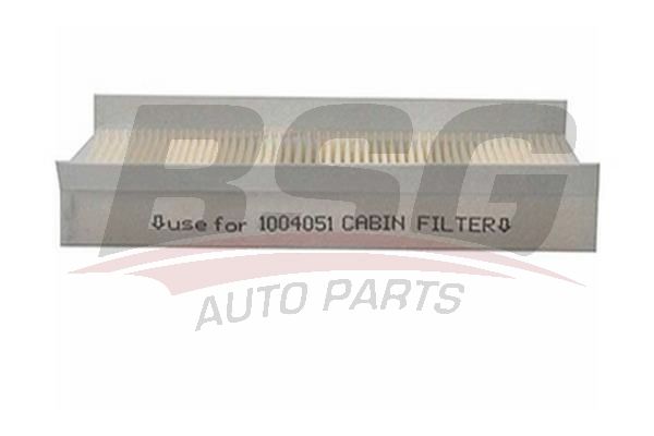 BSG 30145001 Polen Filtresi