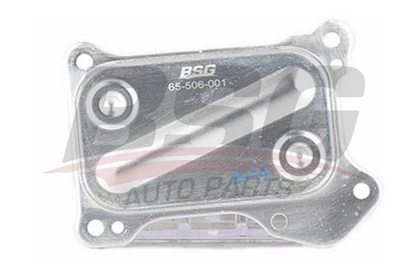 BSG 65506001 Yağ Soğutucusu