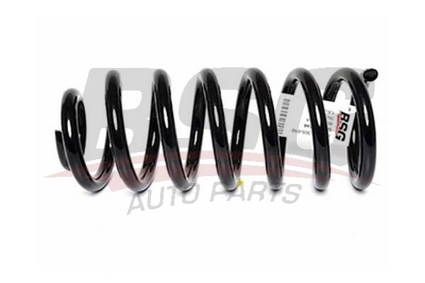 BSG 30305010 Helezon Yayı Arka