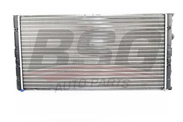 BSG 90520010 Su Radyatörü