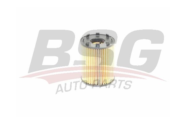 BSG 25140001 Yağ Filtresi