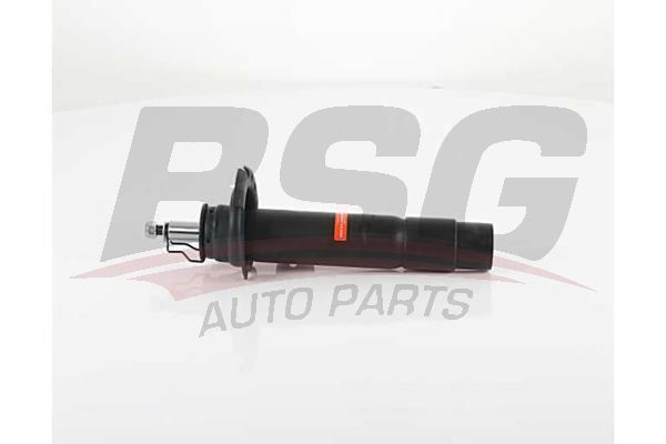 BSG 15300030 Amortisör Ön