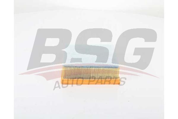 BSG 30135030 Hava Filtresi