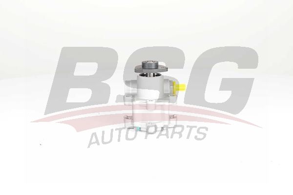 BSG 15355017 Direksiyon Pompası
