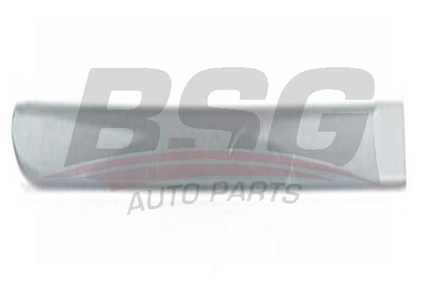 BSG 65925019 Kapı Bandı Arka Sağ