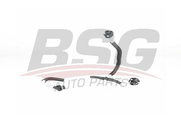 BSG 60725003 Yakıt Hortumu