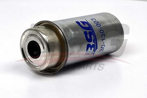 BSG 30130003 Yakıt Filtresi