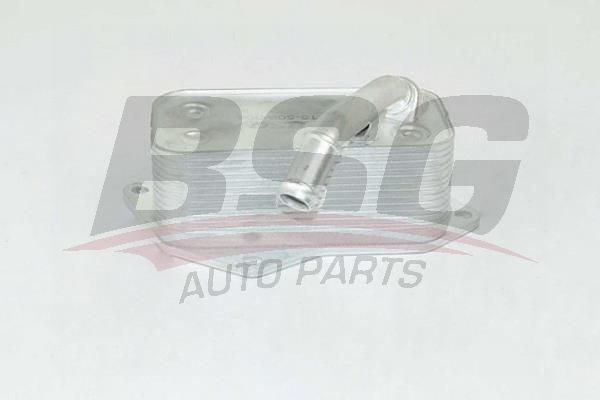 BSG 15506004 Yağ Radyatörü - . Görsel
