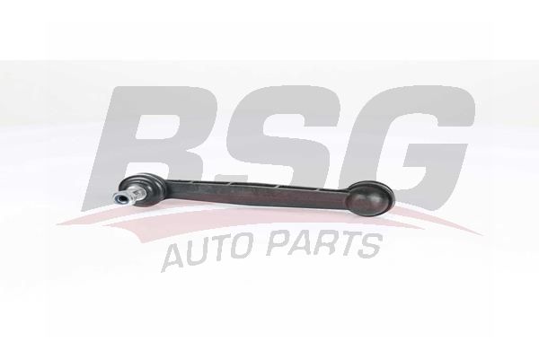 BSG 25310045 Viraj Askı Rotu Arka