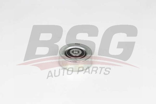 BSG 15615012 V Kayış Gergi Rulmanı