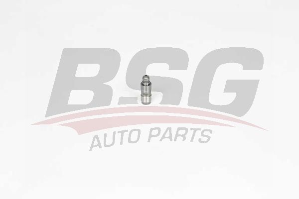 BSG 40122025 Supap Itıcı