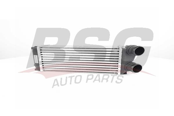 BSG 70535005 Turbo Radyatörü - . Görsel