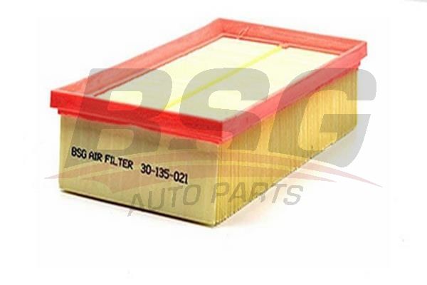 BSG 30135021 Hava Filtresi