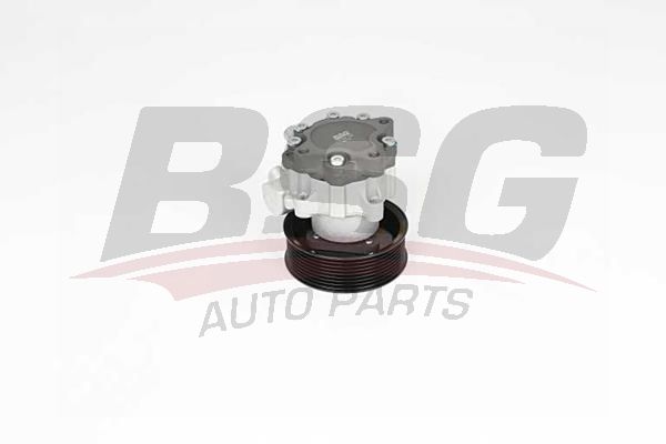 BSG 15355030 Direksiyon Pompası - . Görsel