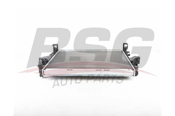 BSG 90520029 Su Radyatörü