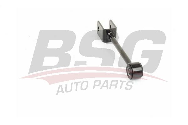 BSG 90310177 Viraj Askı Rotu Arka