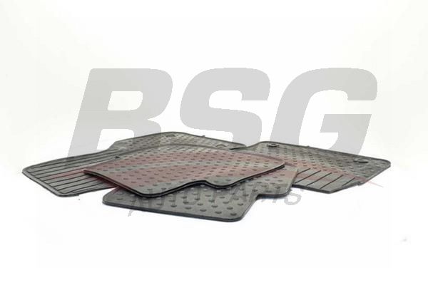BSG 90934027 Paspas Takımı