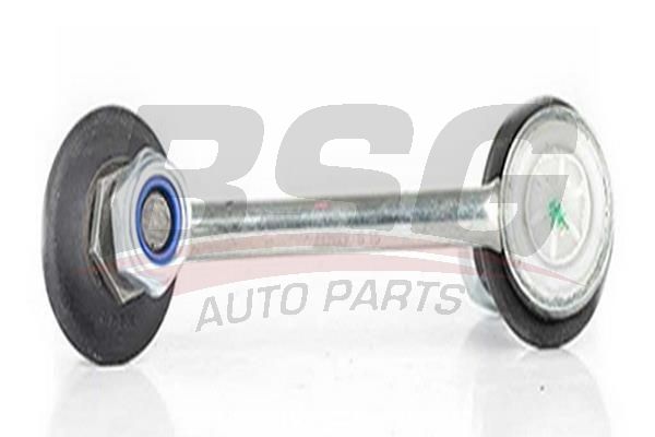 BSG 60310209 Viraj Askı Rotu Ön