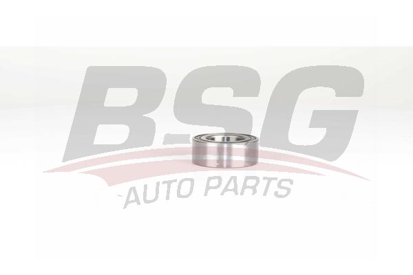 BSG 90605009 Teker Rulmanı Ön