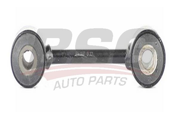 BSG 60310005 Viraj Askı Rotu Ön