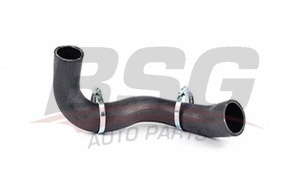 BSG 30720186 Intercooler Hortumu