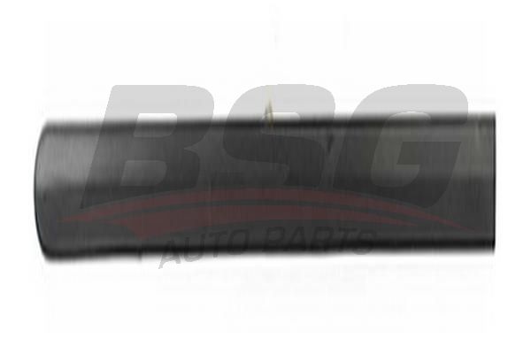BSG 65924018 Kapı Bandı Arka Sol