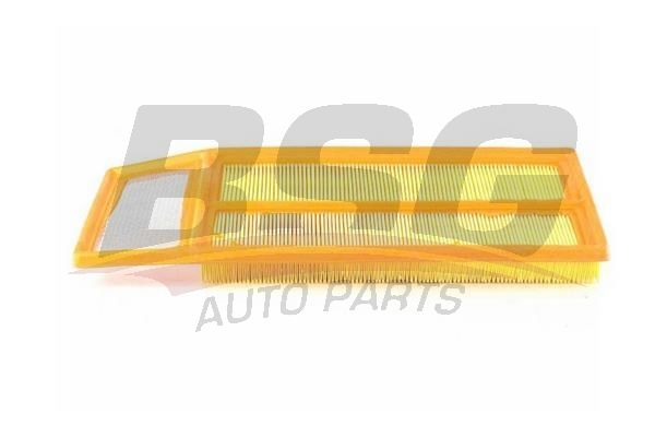 BSG 25135002 Hava Filtresi