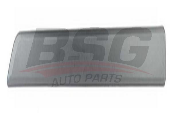 BSG 70924005 Kapı Bandı Ön Sağ