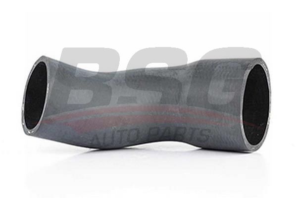 BSG 60720012 Turbo Hortumu