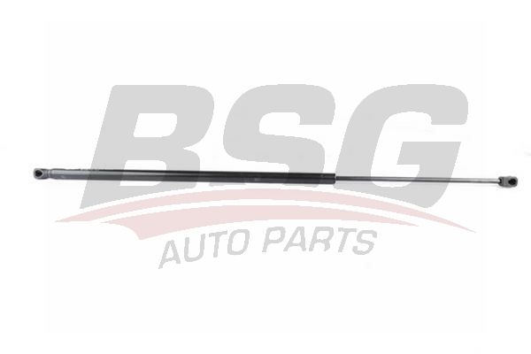 BSG 90980036 Motor Kaput Amortisörü - . Görsel