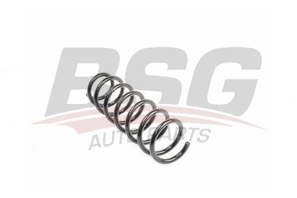BSG 15305001 Helezon Yayı Ön
