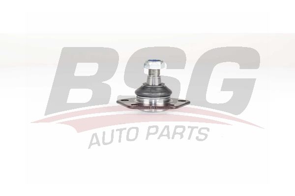 BSG 25310030 Rotil Alt